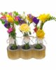 Mini vases bonheur