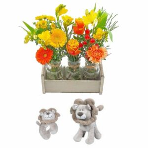 Trio Naissance Lion