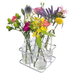Mini vases ensoleillé