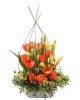 Arrangement de tulipes