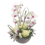 Coupe d'orchidées