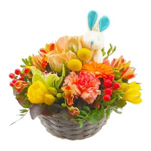 Panier Naissance garçon