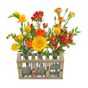 Mini vases coccinelle