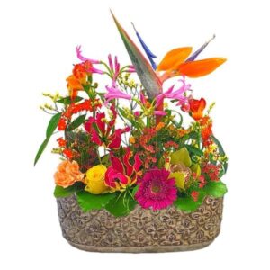Coupe Que du bonheur