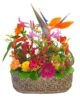 Coupe Que du bonheur