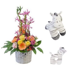 Coffret Bienvenue Zèbre