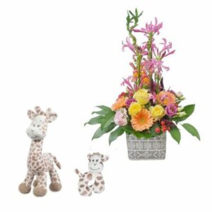 Coffret Girafon