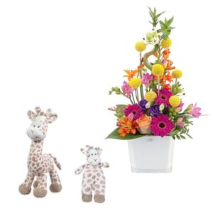 Coffret Girafon