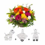 Coffret Naissance Zèbre