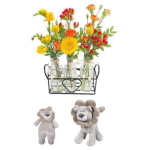 Trio Naissance Lion
