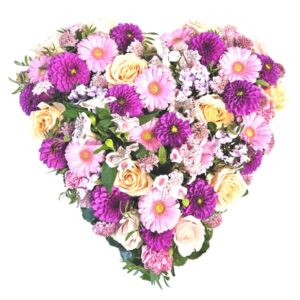 Cœur pastel/fuchsia